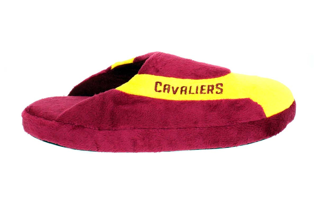 Cleveland Cavaliers Low Pro