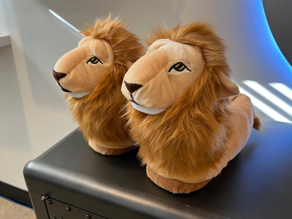 Lion slippers online