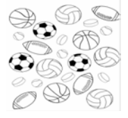 Sports Printed Zlipperz
