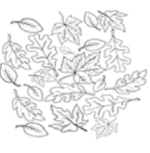 Fall Leaf Printed Zlipperz