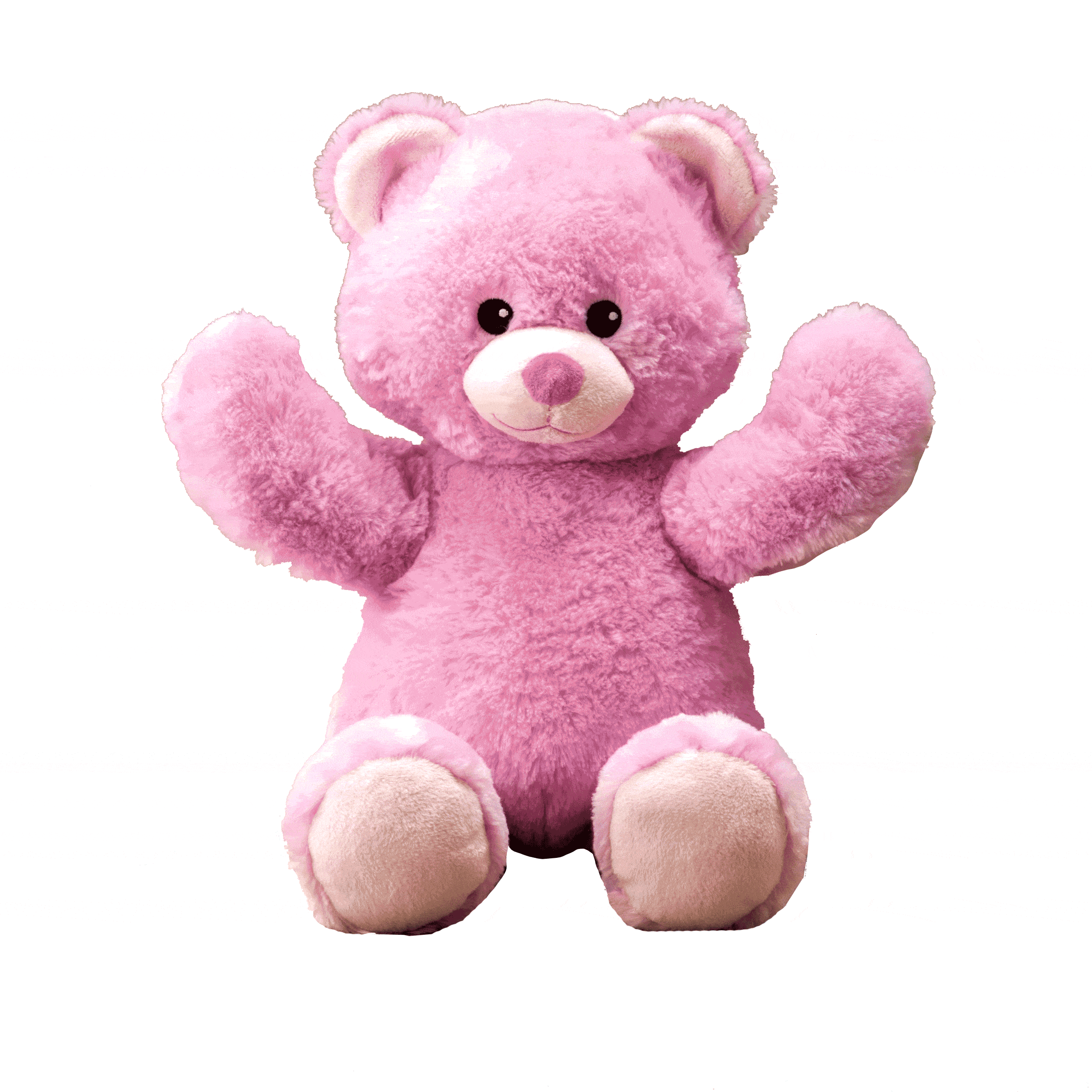 Pink Bear to Butterfly Fairy Bear Flipemz Reversible Plush Toys