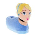 Cinderella Slippers