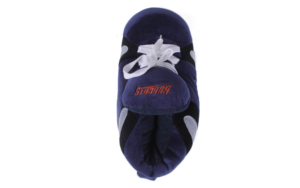 Charlotte Bobcats