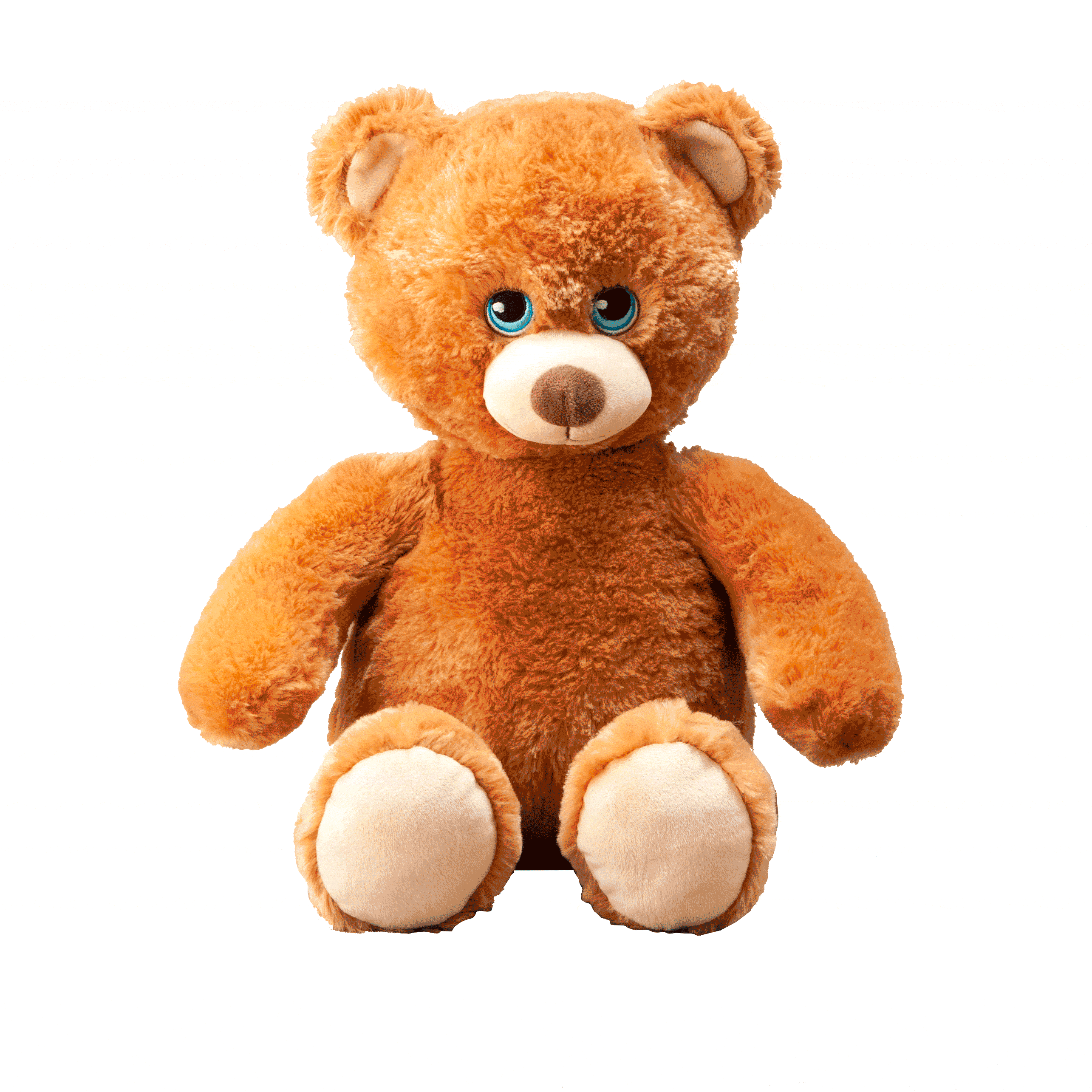 Brendan Bear to Super Bear Flipemz Reversible Plush Toys