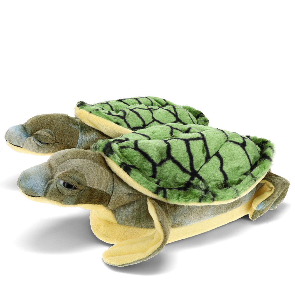 Turtle Slippers – HappyFeet Slippers