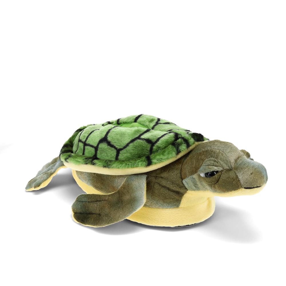 Turtle Slippers