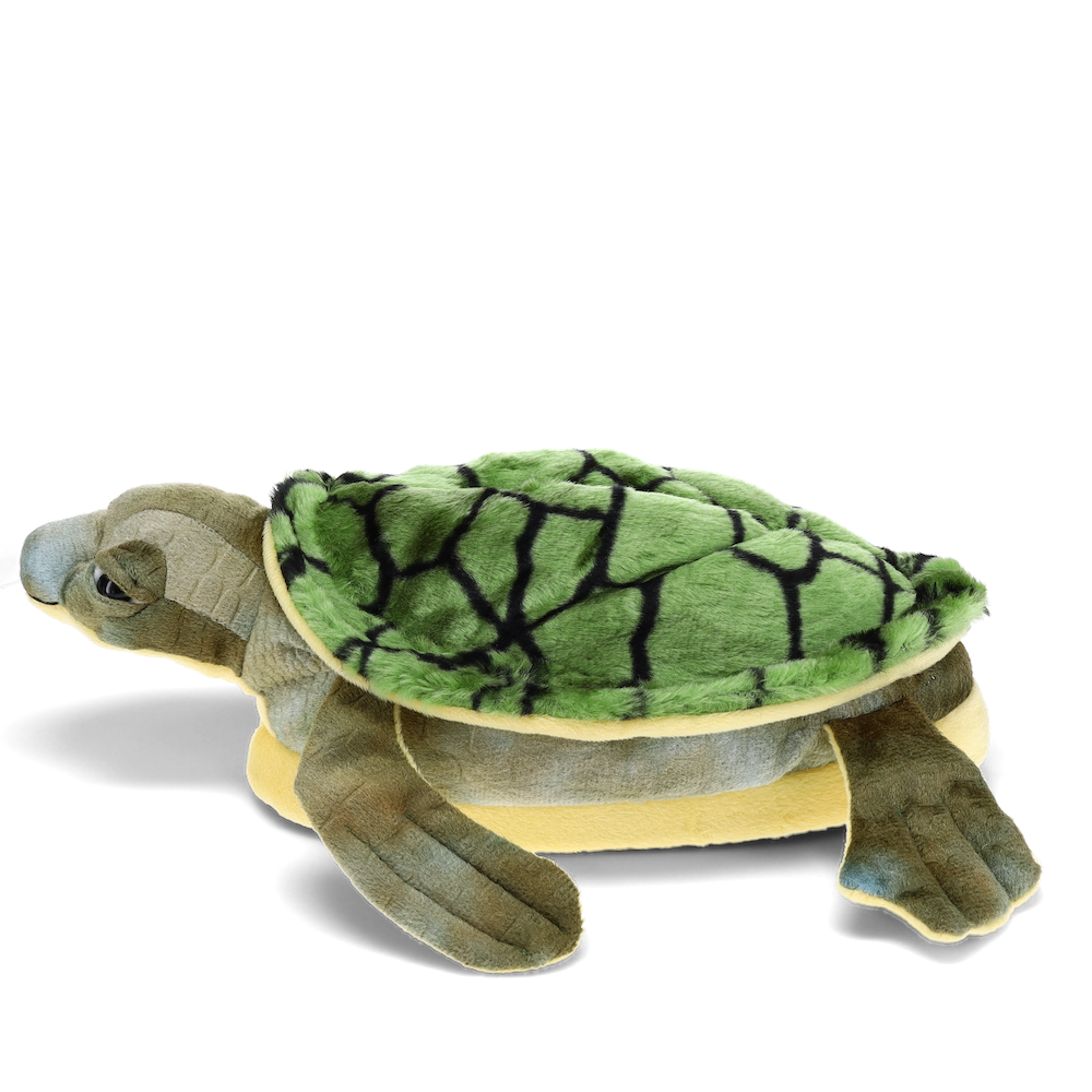 
                  
                    Turtle Slippers
                  
                