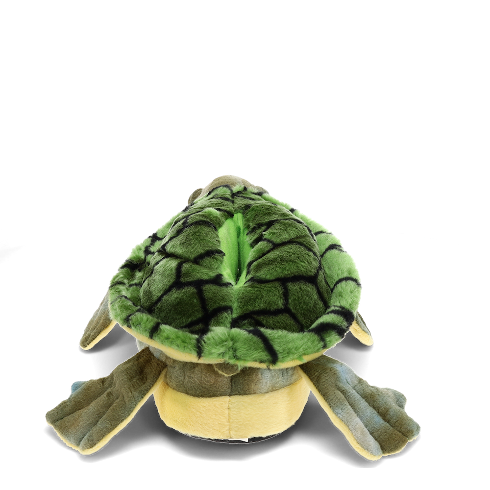 
                  
                    Turtle Slippers
                  
                