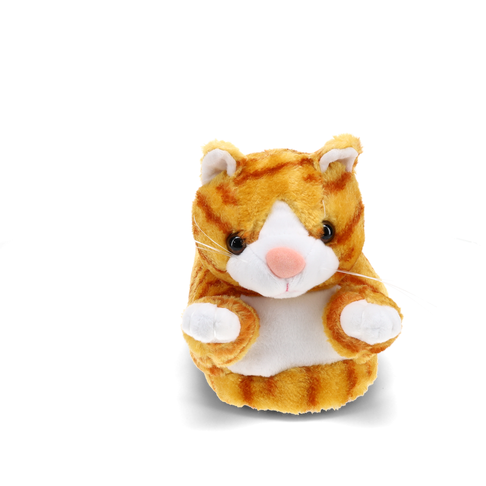Tabby Cat Slippers