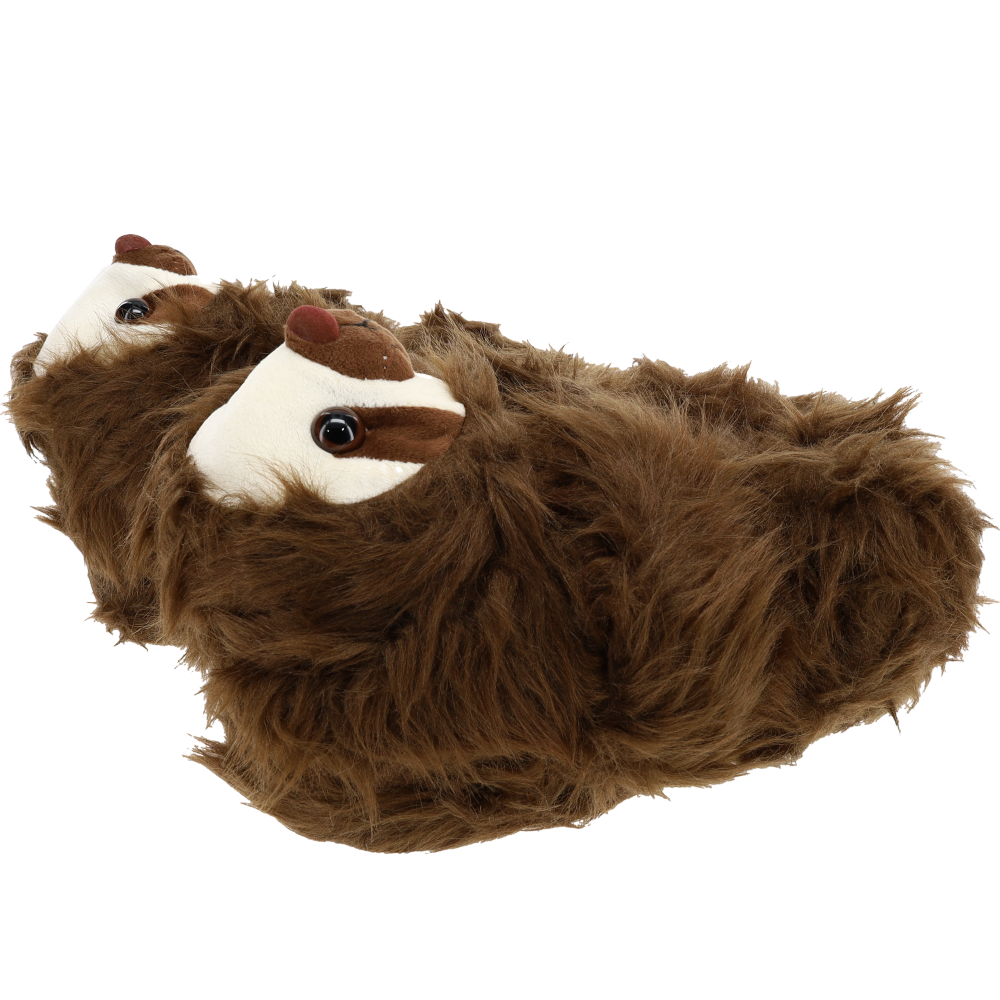 
                  
                    Sloth Slippers
                  
                