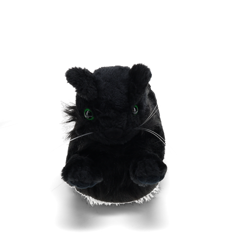 
                  
                    Black Cat Slippers
                  
                