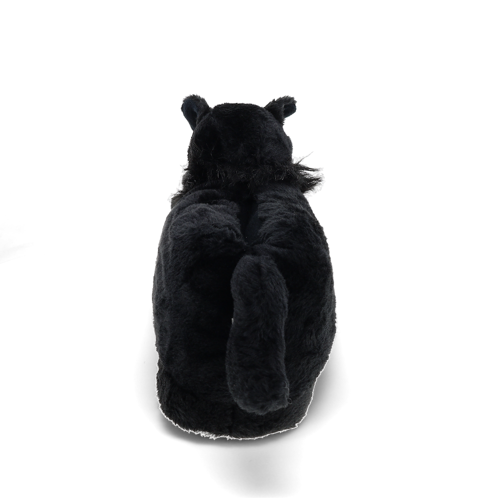 
                  
                    Black Cat Slippers
                  
                