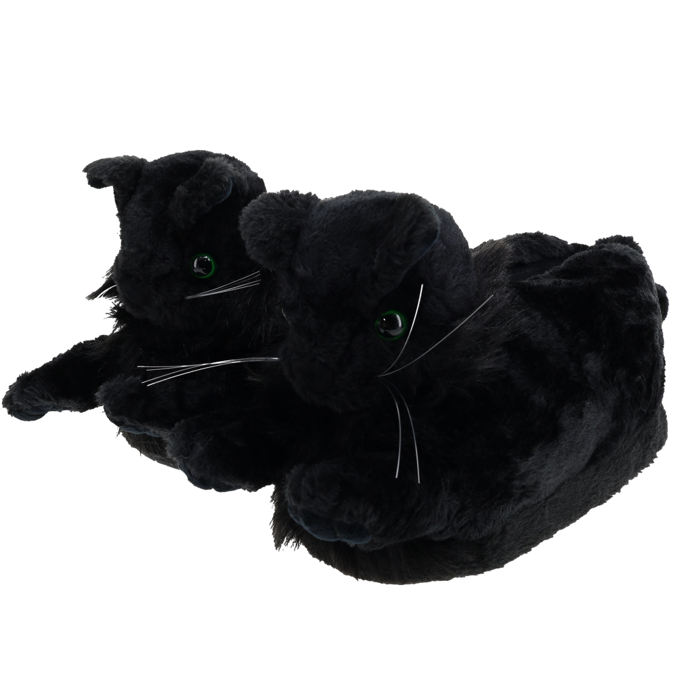 
                  
                    Black Cat Slippers
                  
                