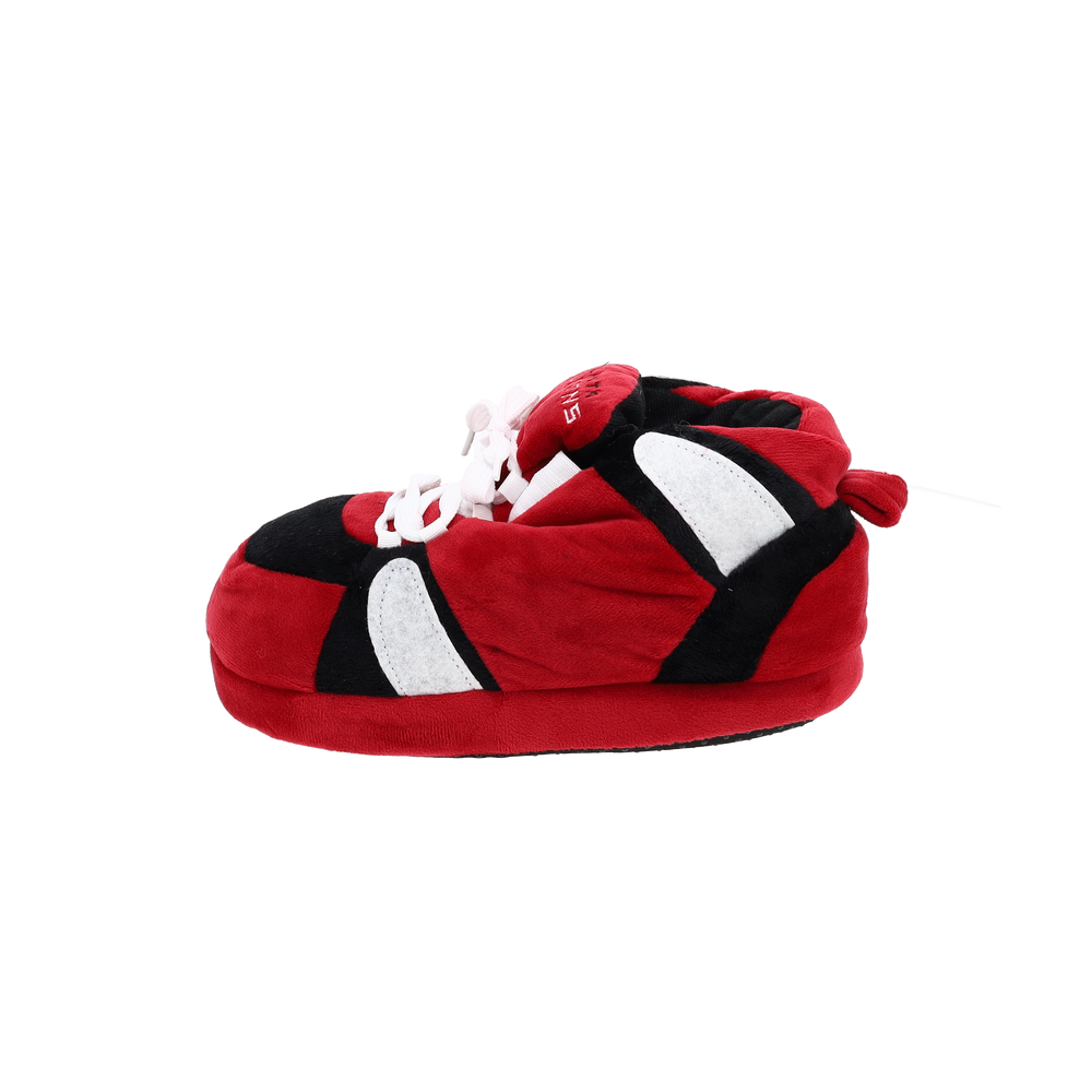 
                  
                    Atlanta Falcons Slippers
                  
                