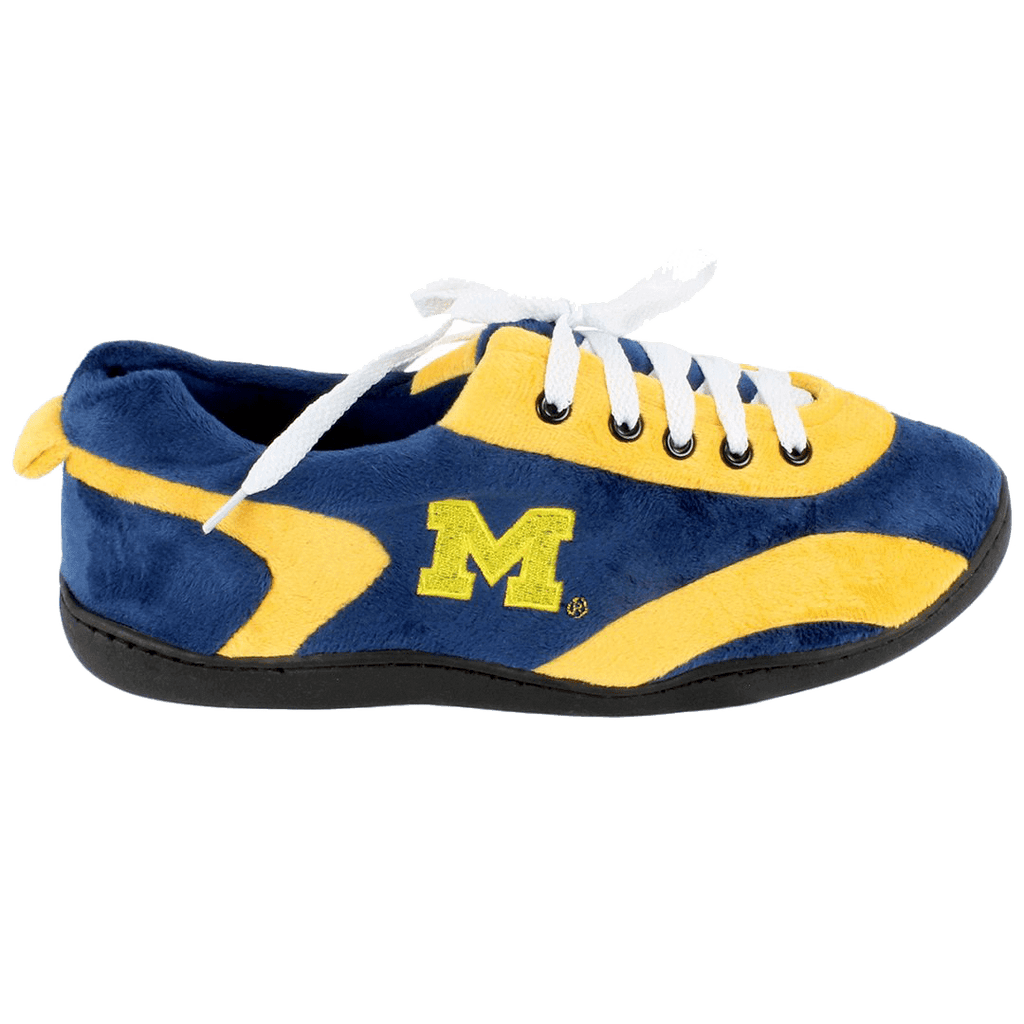 Michigan Wolverines All Around 2