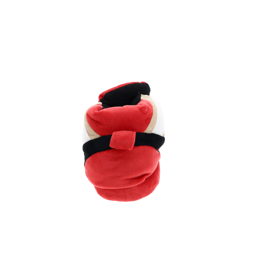 San Francisco 49ers Slippers