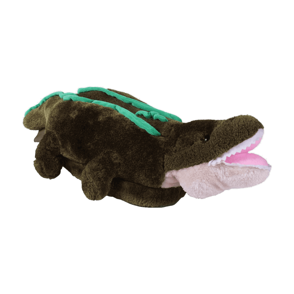 alligator 2