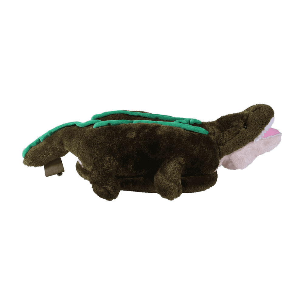 
                  
                    alligator 3
                  
                
