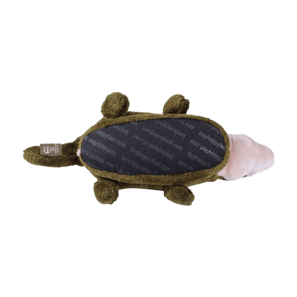 
                  
                    alligator 6
                  
                