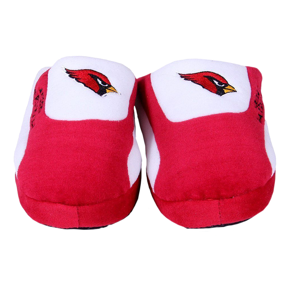 Arizona Cardinals Low Pro 2