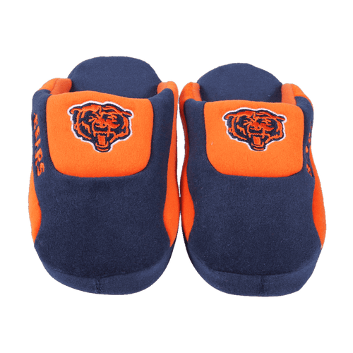 bears low pro slippers 1