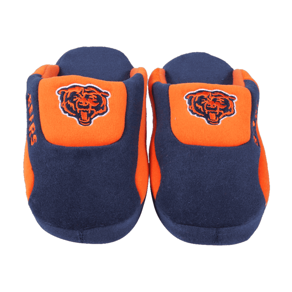 bears low pro slippers 1