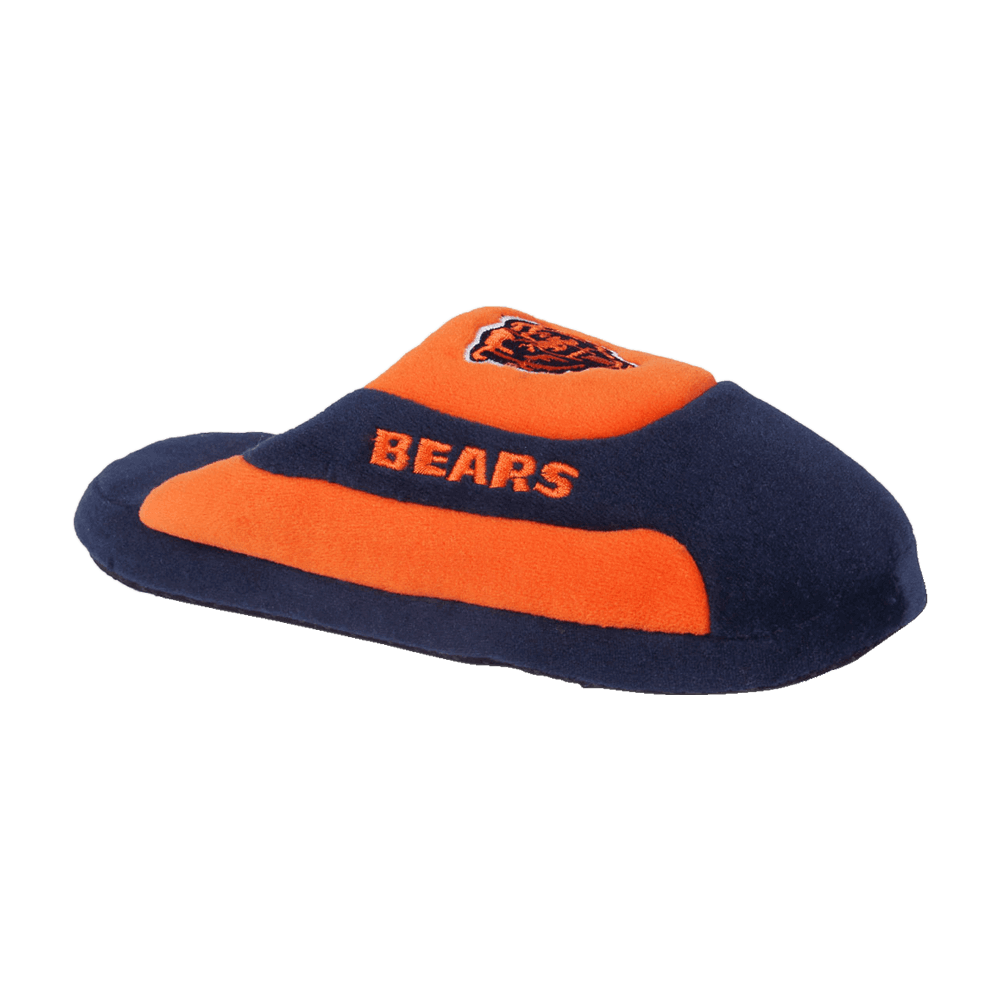 bears low pro slippers 2