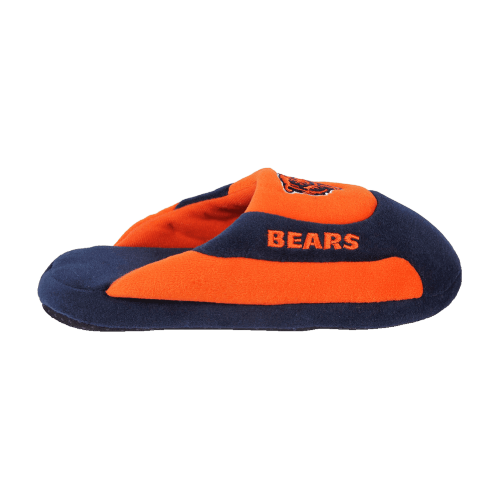 bears low pro slippers 3