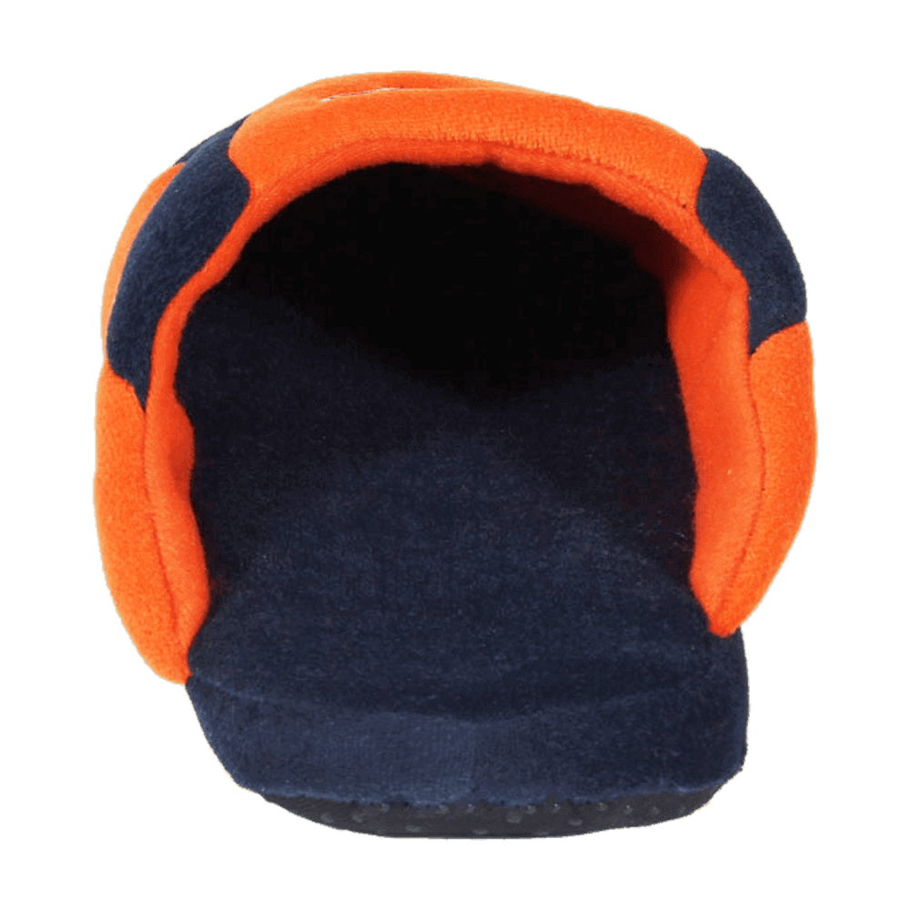bears low pro slippers 4