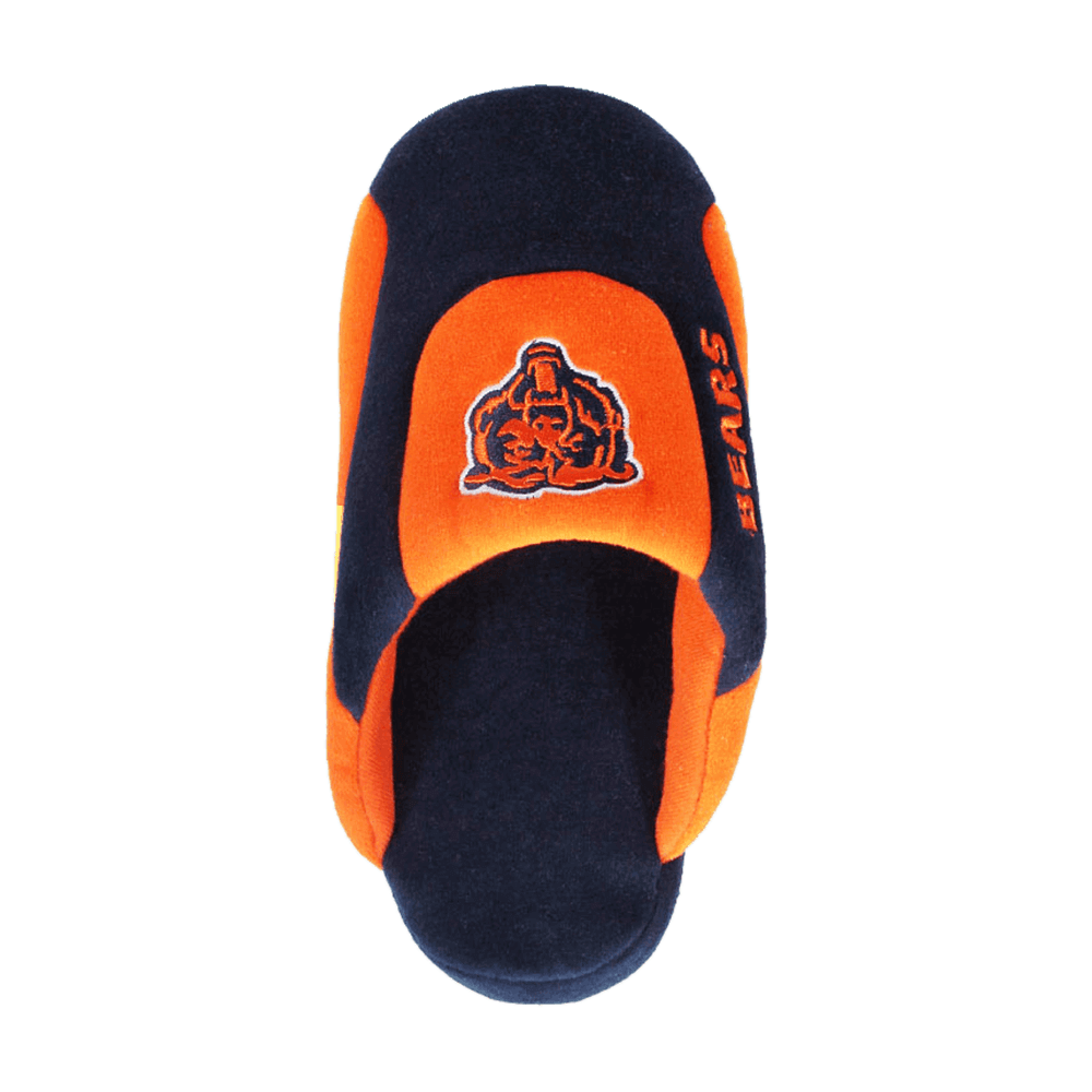 bears low pro slippers 5