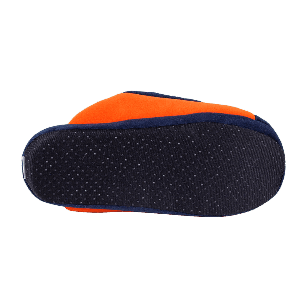 bears low pro slippers 6