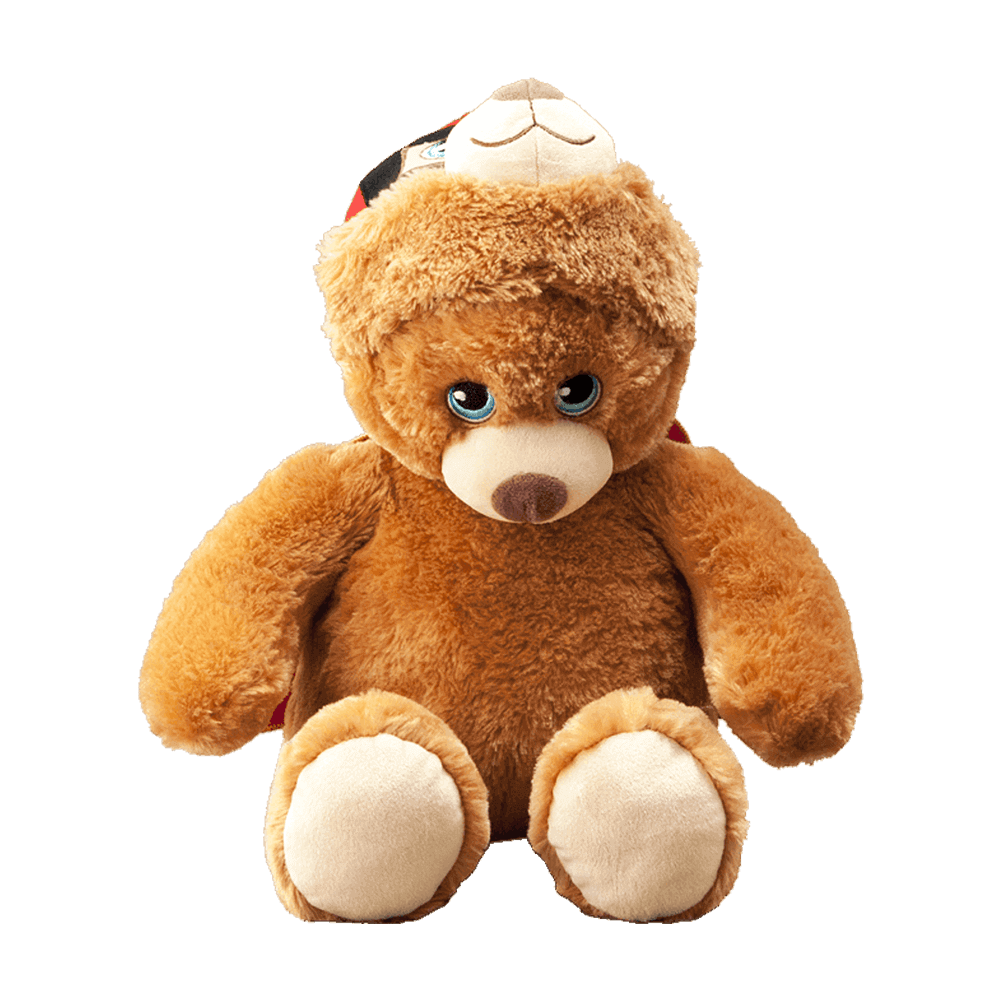 
                  
                    Flipemz Brendan Bear to Super Bear Plush Toy
                  
                