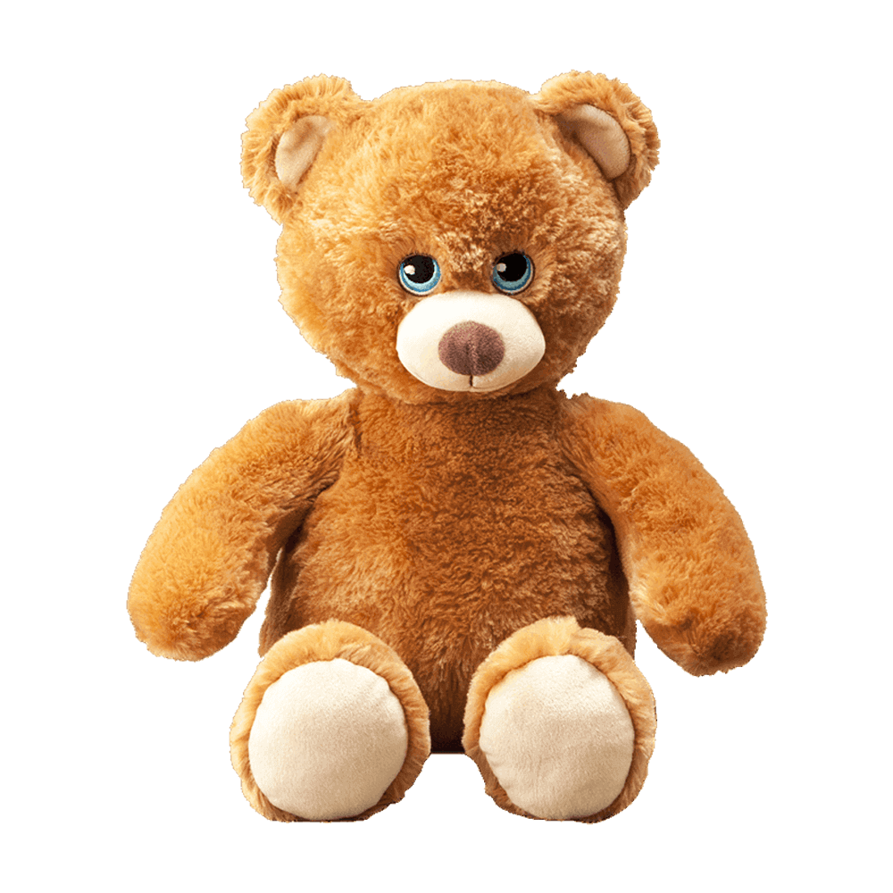 
                  
                    Flipemz Brendan Bear to Super Bear Plush Toy
                  
                