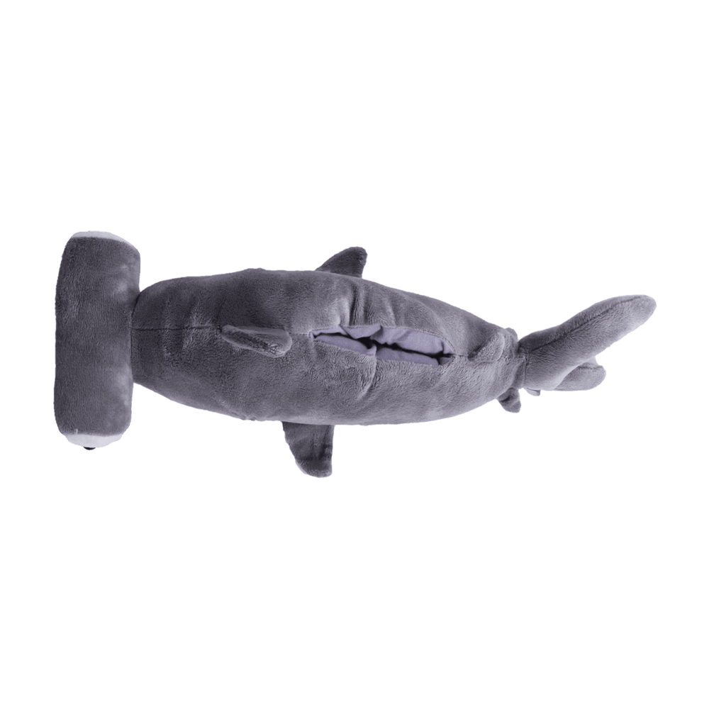 
                  
                    hammerhead 5
                  
                