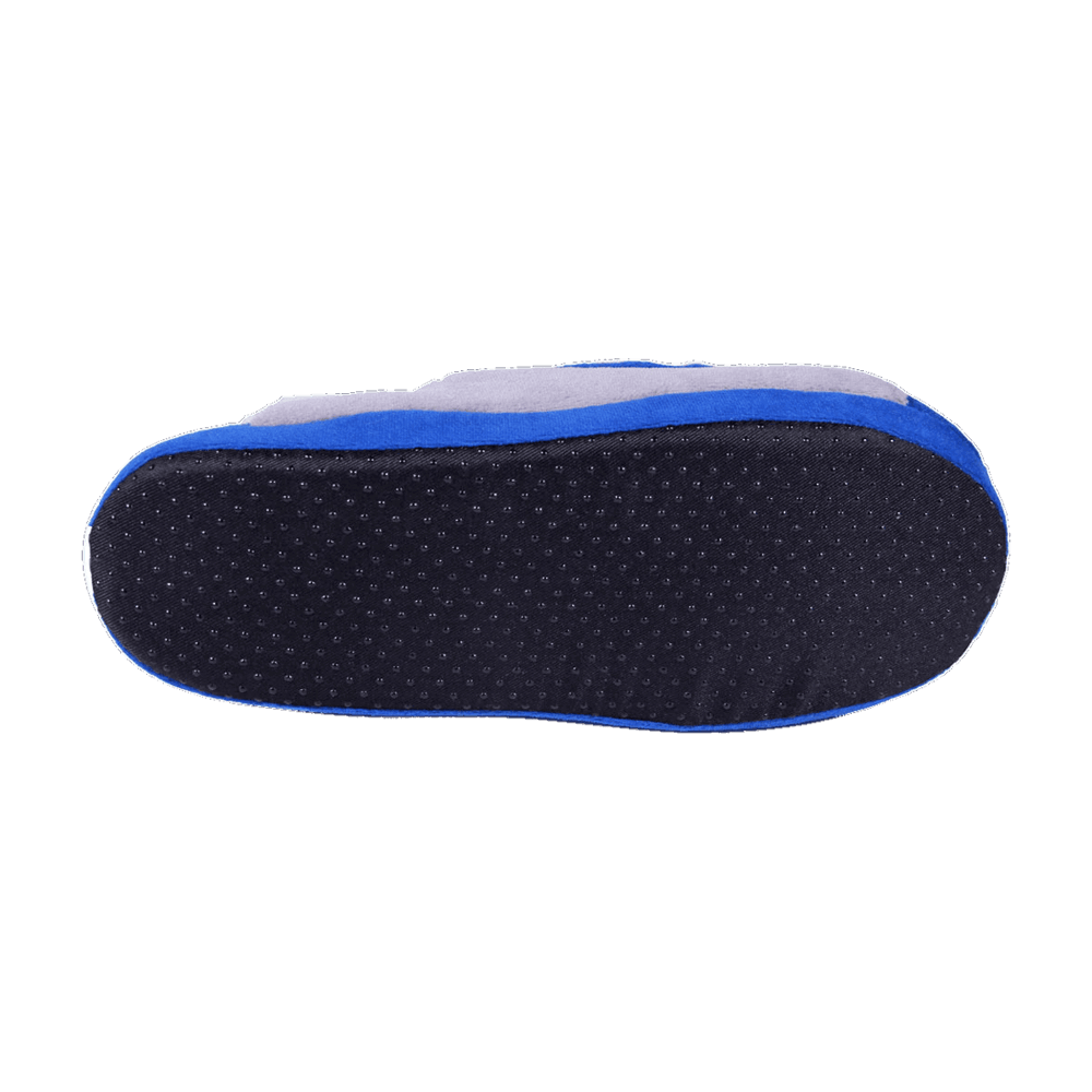 lions low pro slippers 6
