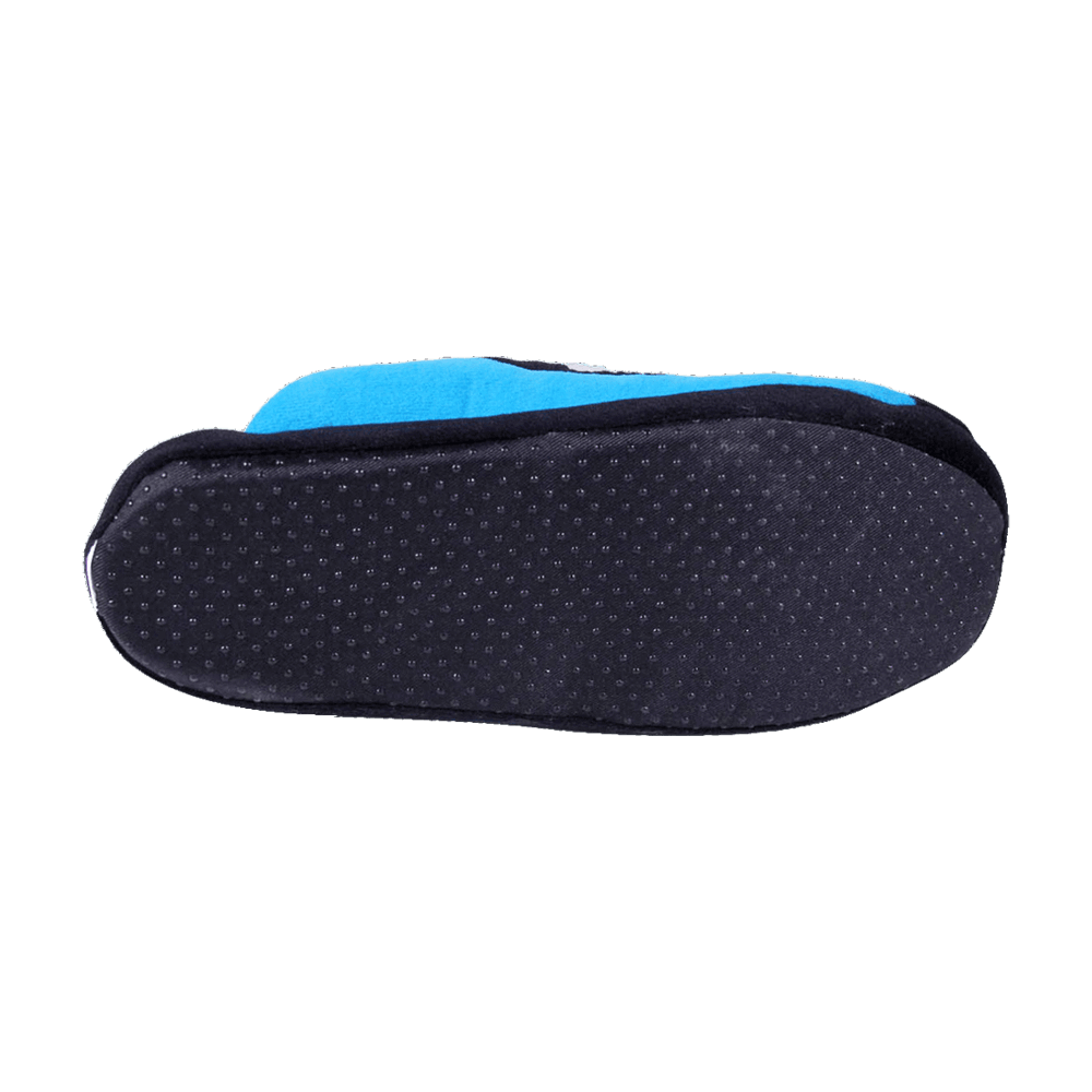panthers low pro slippers 6