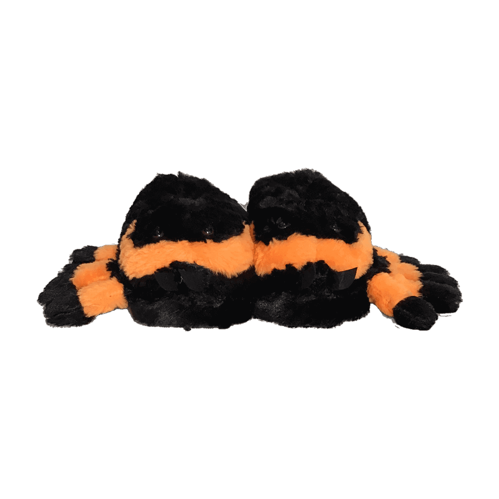 Tarantula slippers best sale